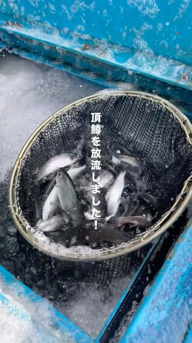 画像242