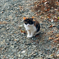 画像379
