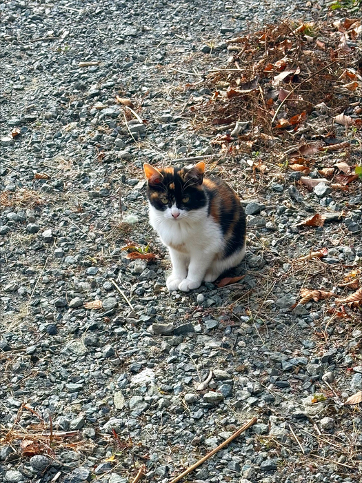 画像379
