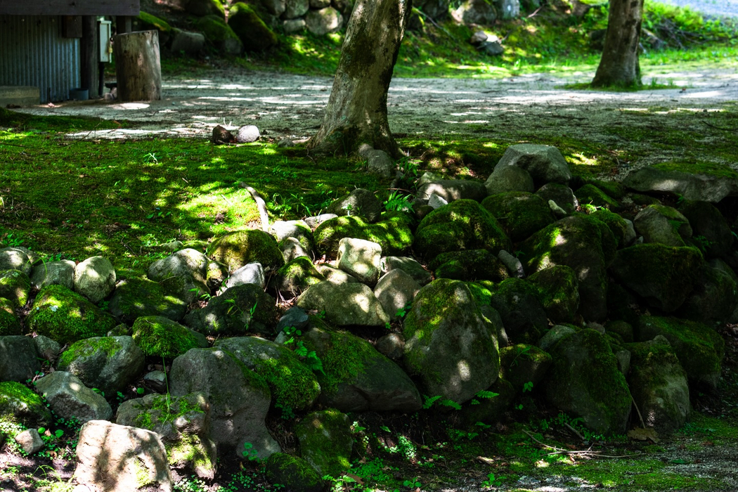 画像689