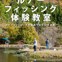 画像777